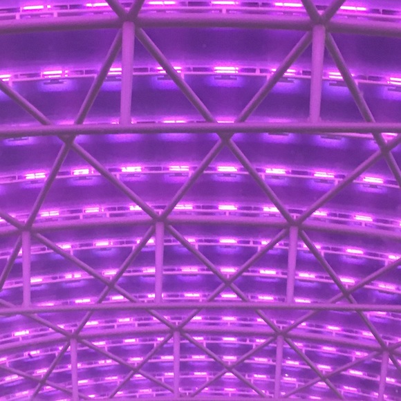 Meet your Posher, Aaliyah - Picture 1 of 1